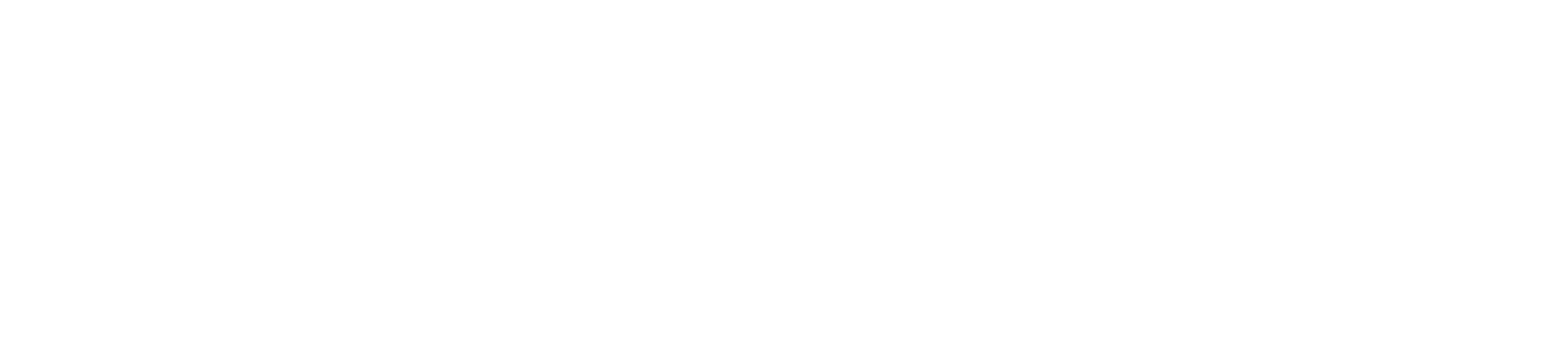 SUSAN STING Logo